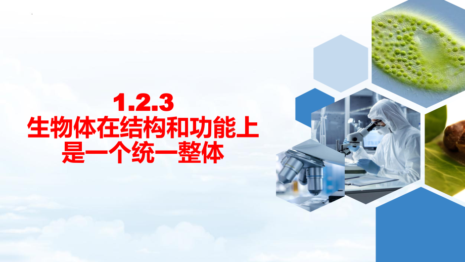 1.2.3生物体在结构和功能上是一个统一整体 ppt课件-2024新济南版七年级上册《生物》.pptx_第1页