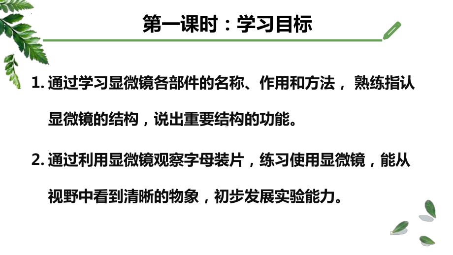 7.1.3研究生物学需要特定的器具ppt课件-2024新济南版七年级上册《生物》.pptx_第2页