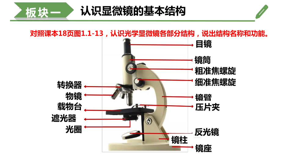 7.1.3研究生物学需要特定的器具ppt课件-2024新济南版七年级上册《生物》.pptx_第3页