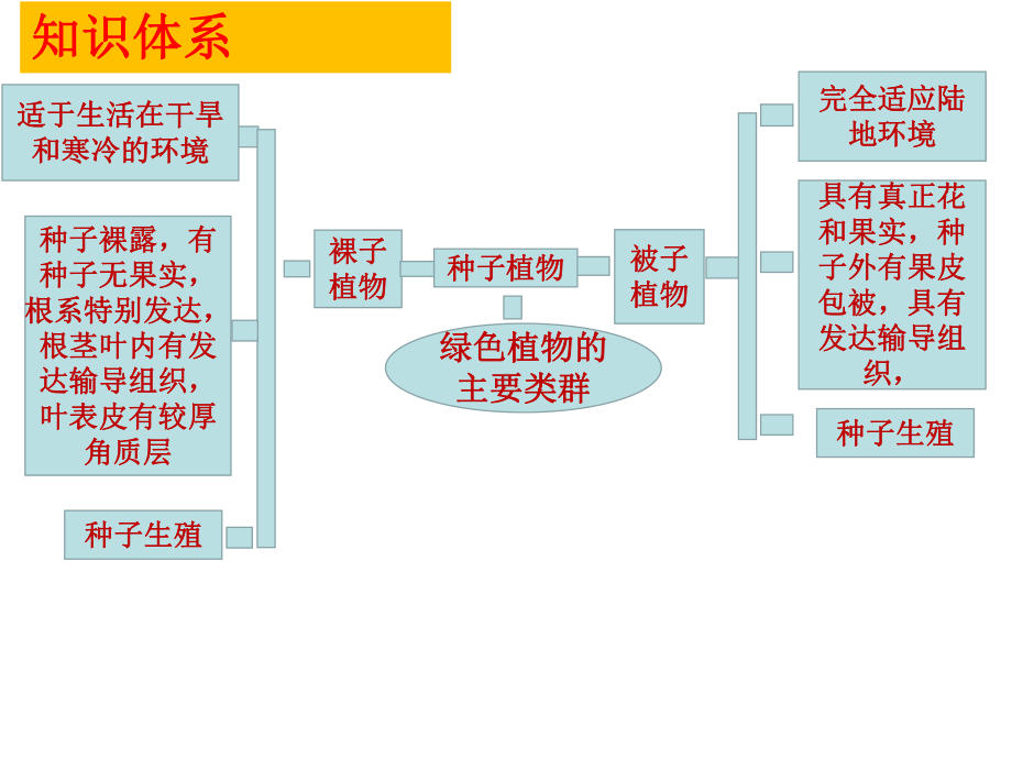 2.1.2裸子植物和被子植物能用种子繁殖后代ppt课件-2024新济南版七年级上册《生物》.pptx_第3页