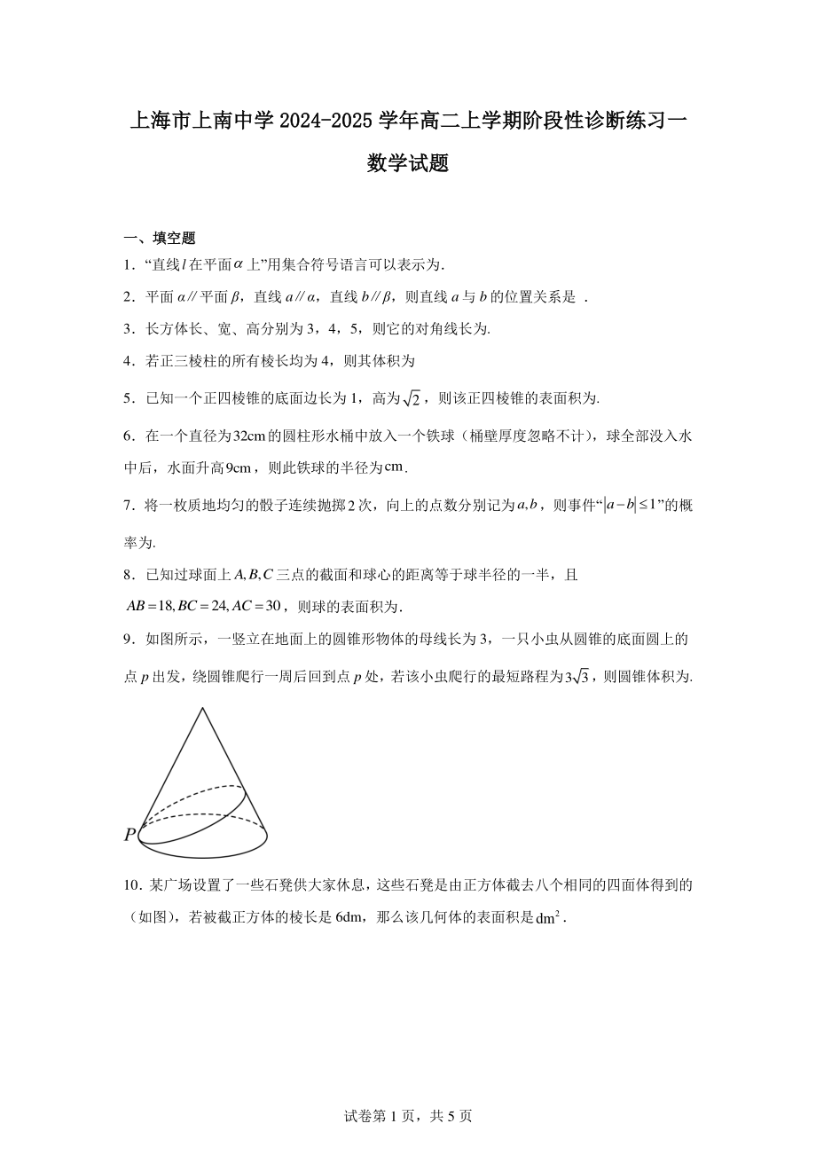 上海市上南中学2024-2025学年高二上学期阶段性诊断练习一数学试题.pdf_第1页