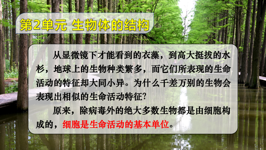 2.1细胞的基本结构和功能（显微镜的使用） ppt课件-2024新济南版七年级上册《生物》.pptx_第2页