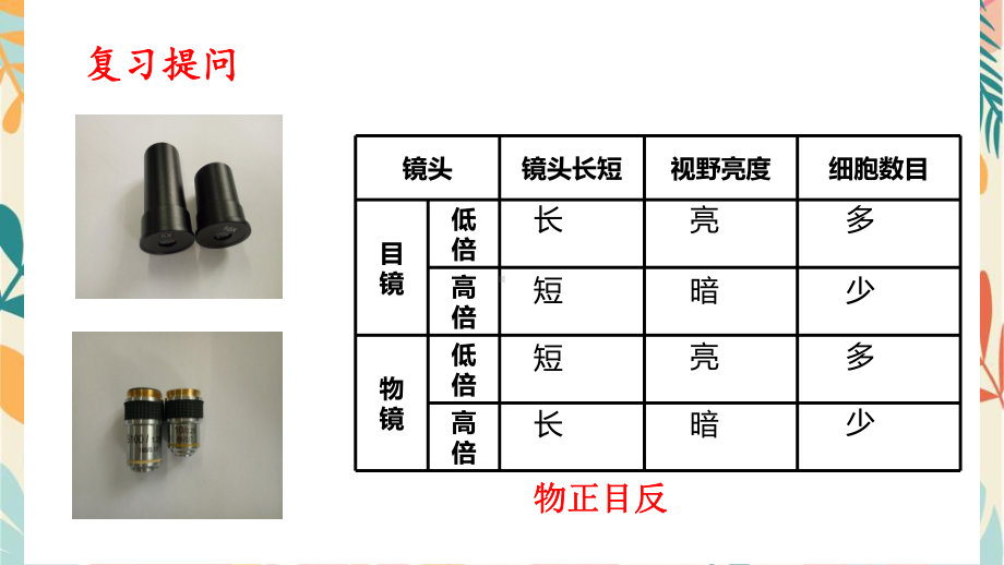 1.1.3研究生物学需要特定的器具ppt课件 -2024新济南版七年级上册《生物》.pptx_第3页