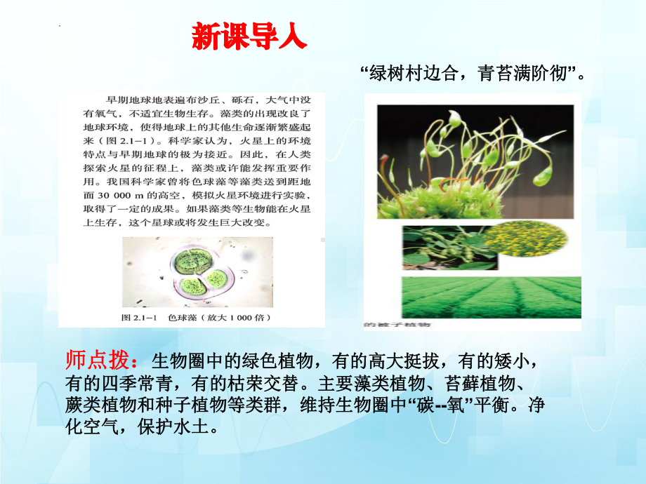 2.1.1藻类、苔藓植物和蕨类植物能用孢子繁殖后代(第一课时）ppt课件.-2024新济南版七年级上册《生物》.pptx_第1页