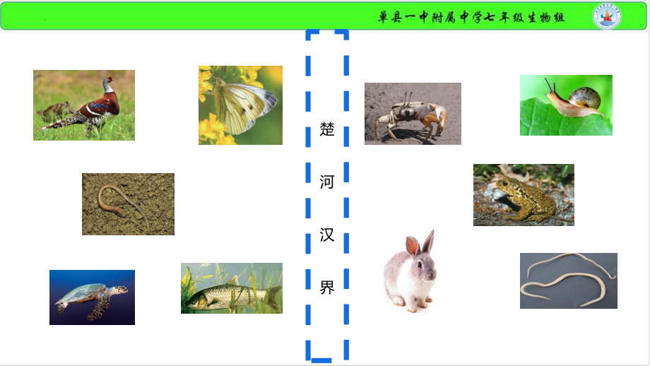 2.2.1无脊椎动物体内没有脊椎ppt课件-2024新济南版七年级上册《生物》.pptx_第1页