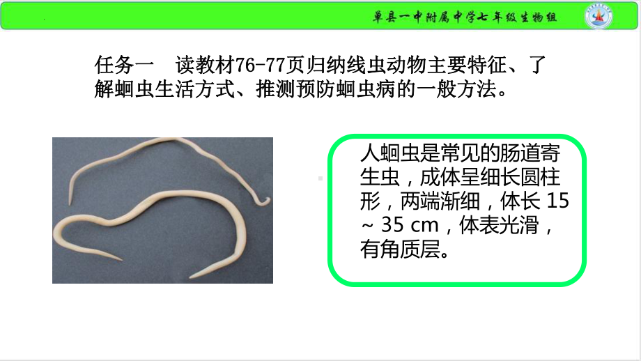 2.2.1无脊椎动物体内没有脊椎ppt课件-2024新济南版七年级上册《生物》.pptx_第3页