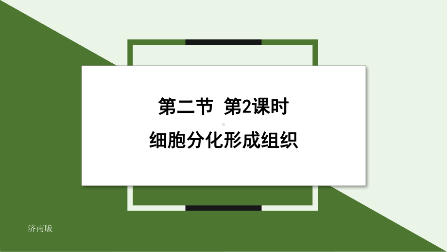 1.2.2细胞通过分裂和分化形成不同组织（第2课时）ppt课件-2024新济南版七年级上册《生物》.pptx_第1页