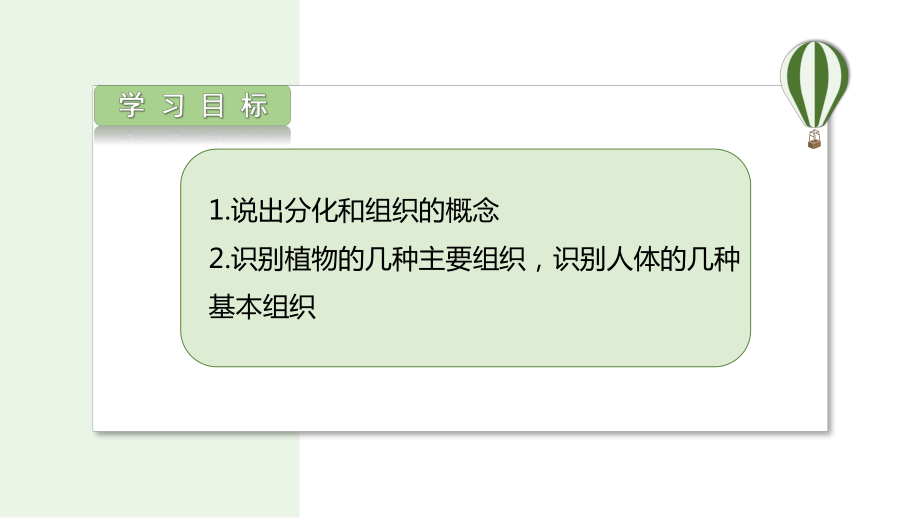 1.2.2细胞通过分裂和分化形成不同组织（第2课时）ppt课件-2024新济南版七年级上册《生物》.pptx_第2页