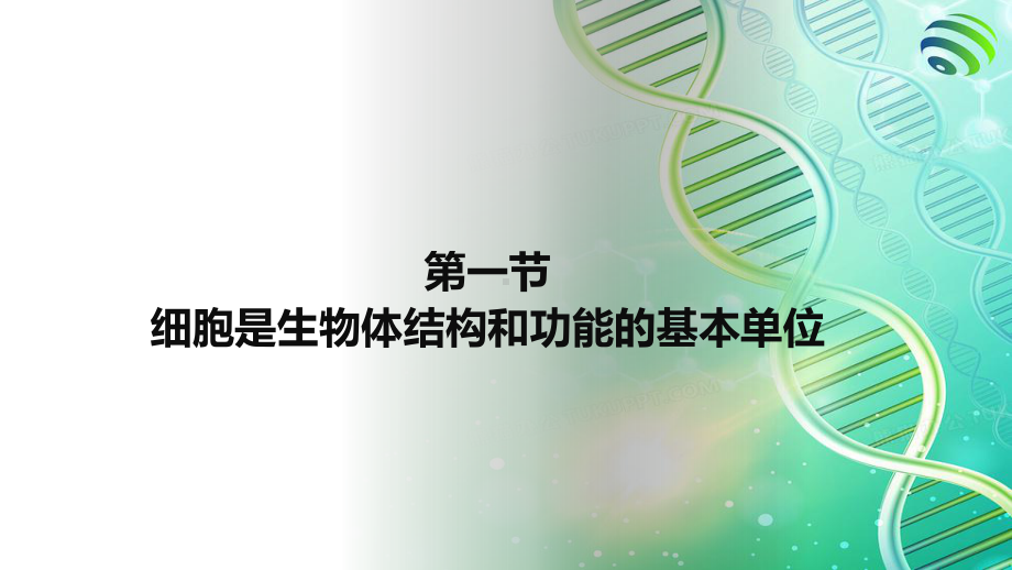 2.1.4细胞是生物体结构和功能的基本单位ppt课件-2024新济南版七年级上册《生物》.pptx_第1页