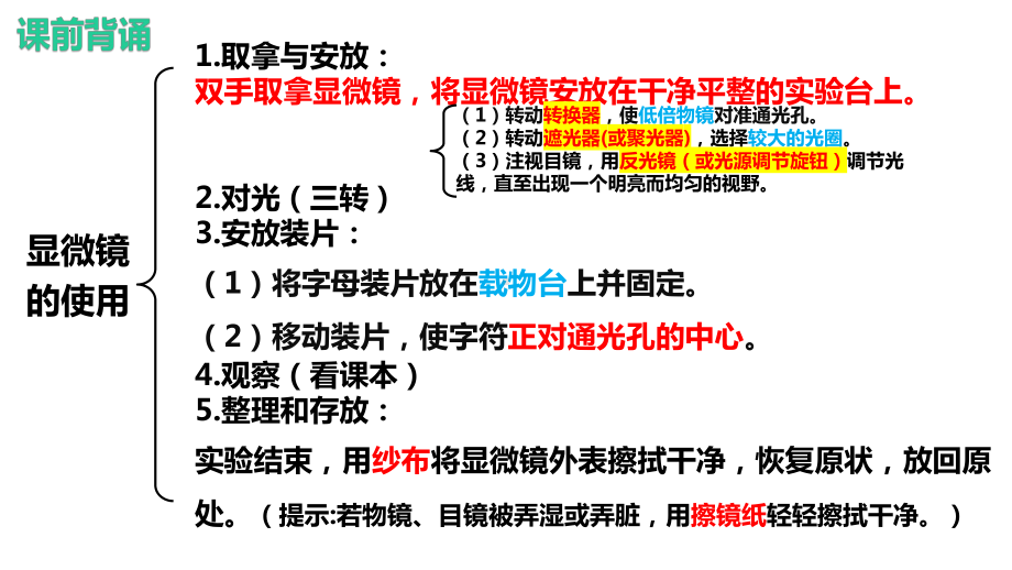 2.1.4细胞是生物体结构和功能的基本单位ppt课件-2024新济南版七年级上册《生物》.pptx_第2页