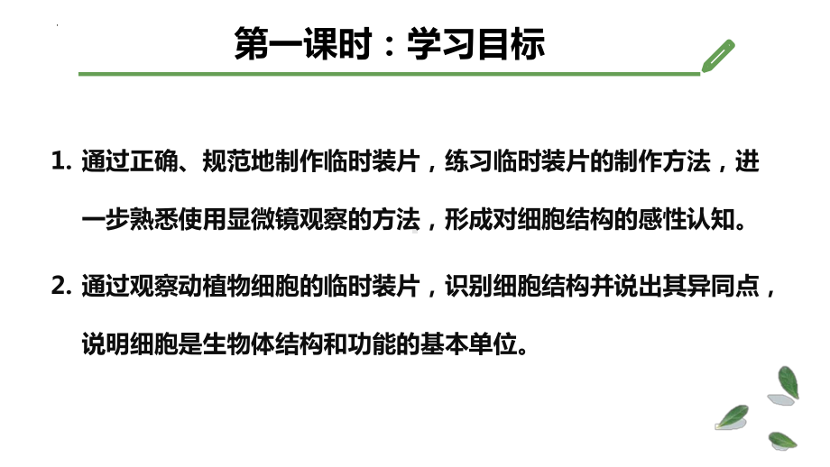 2.1.4细胞是生物体结构和功能的基本单位ppt课件-2024新济南版七年级上册《生物》.pptx_第3页