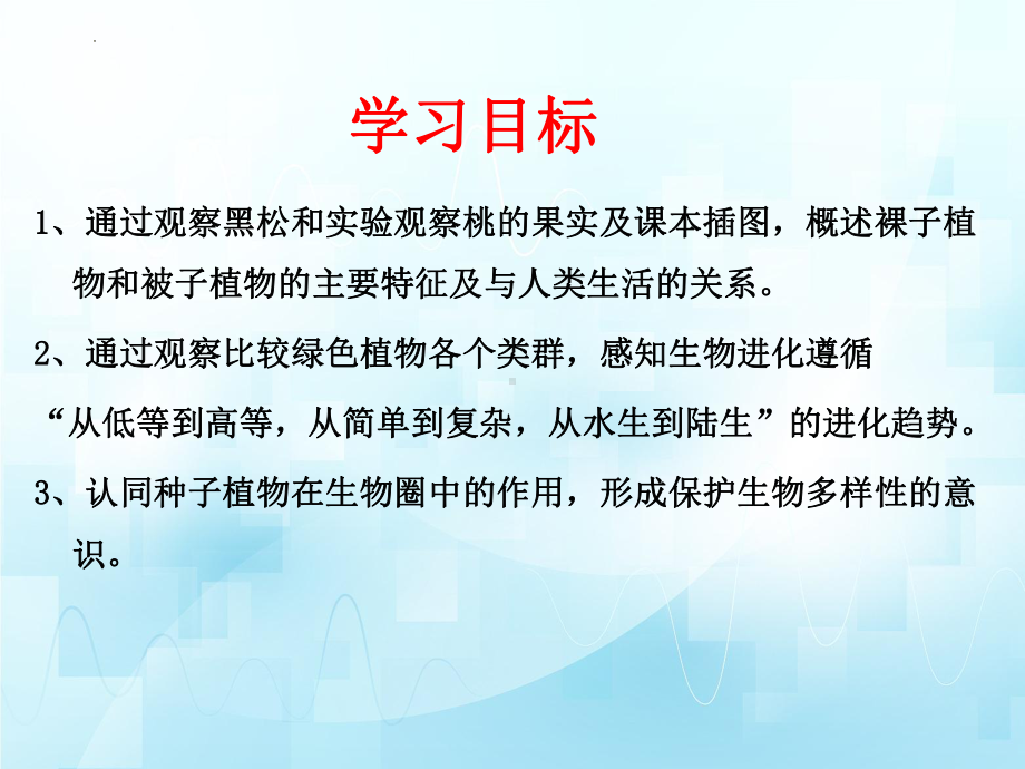 2.1.2裸子植物和被子植物能用种子繁殖后代ppt课件-2024新济南版七年级上册《生物》.pptx_第3页