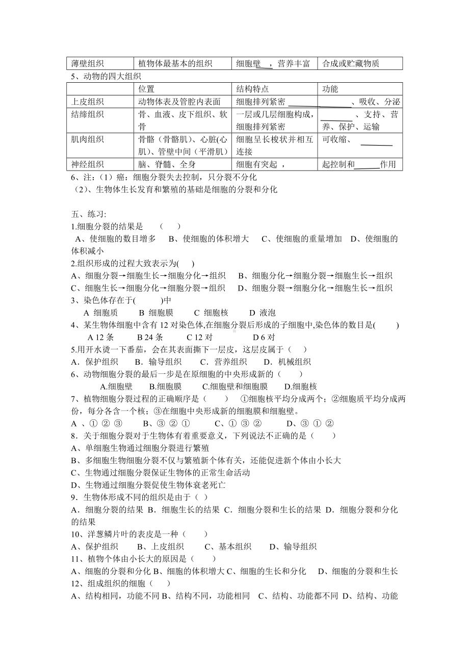 2.2细胞通过分裂和分化形成不同组织学案-2024新济南版七年级上册《生物》.docx_第2页