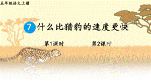 部编版五年级语文上册(什么比猎豹的速度更快)课件.ppt