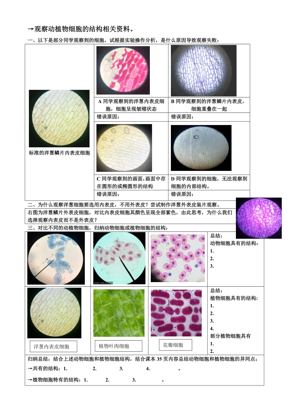 2.1 实验：观察动植物细胞的结构实验导学案-2024新济南版七年级上册《生物》.docx_第2页