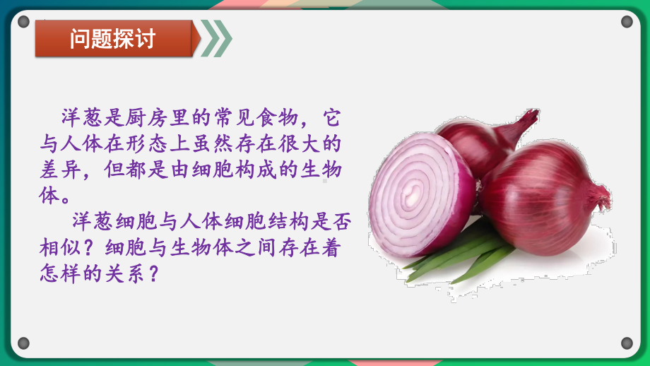 1.2.1细胞是生物体结构和功能的基本单位ppt课件-2024新济南版七年级上册《生物》.pptx_第2页