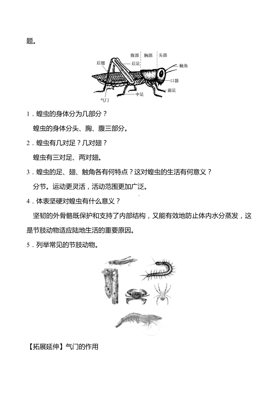 2.2.1无脊椎动物体内没有脊柱教案 -2024新济南版七年级上册《生物》.docx_第3页