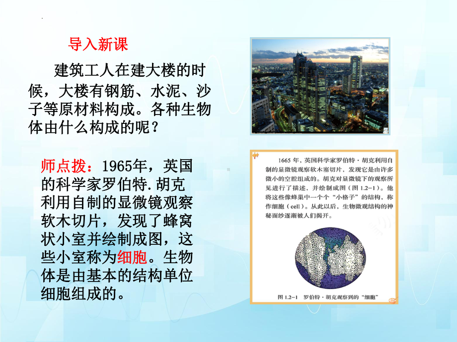 1.2.1+细胞是生物体结构和功能的基本单位（第一课时）ppt课件.-2024新济南版七年级上册《生物》.pptx_第1页