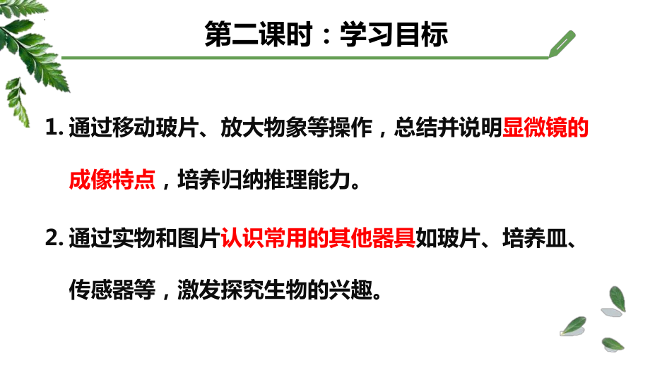 1.1.3研究生物学需要特定的器具ppt课件-2024新济南版七年级上册《生物》.pptx_第2页