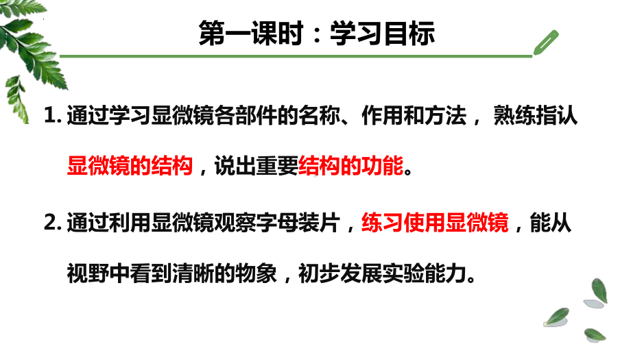 1.1.3研究生物学需要特定的器具ppt课件-2024新济南版七年级上册《生物》.pptx_第2页