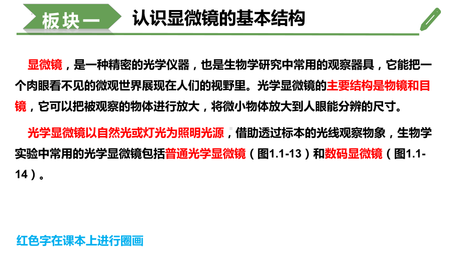 1.1.3研究生物学需要特定的器具ppt课件-2024新济南版七年级上册《生物》.pptx_第3页