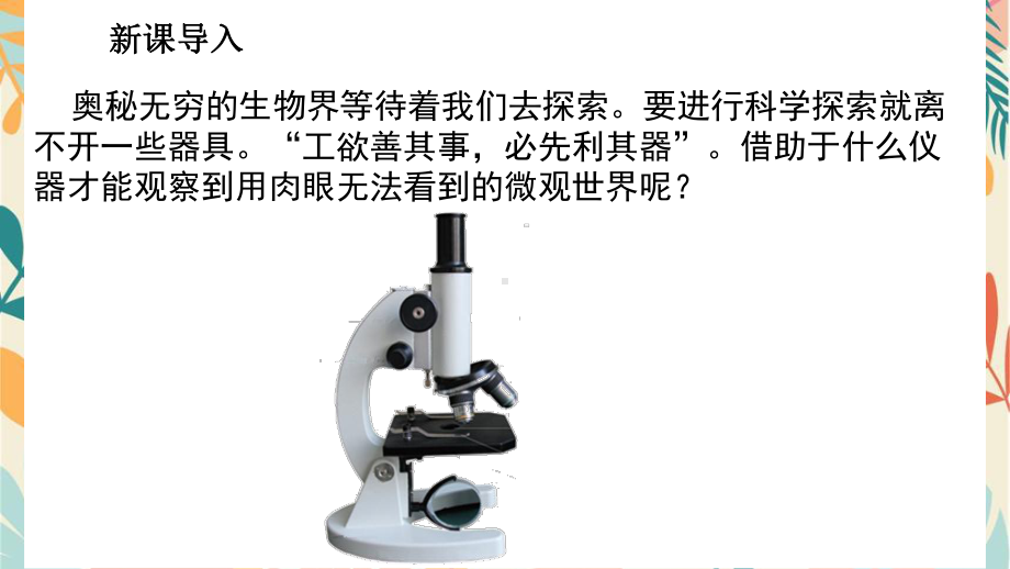 1.1.3研究生物学需要特定的器具ppt课件-2024新济南版七年级上册《生物》.pptx_第3页