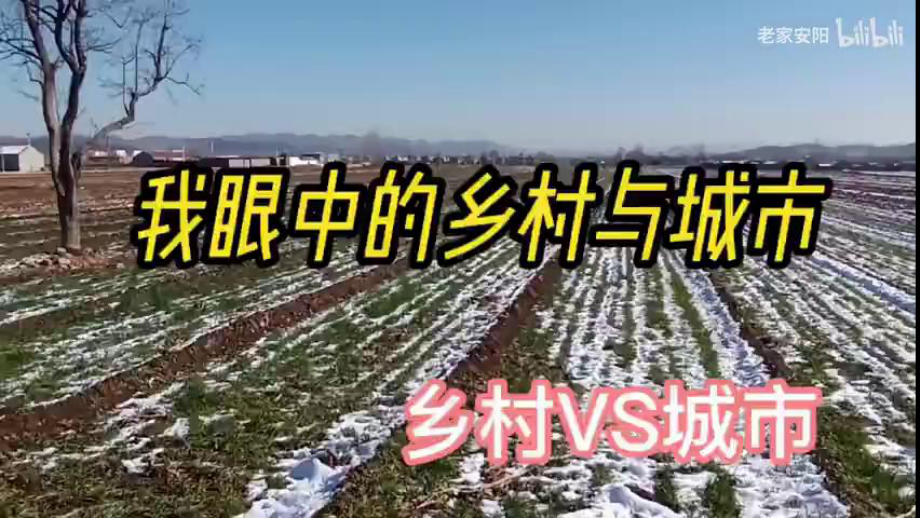 5.2 城镇与乡村 ppt课件(共27张PPT内嵌视频)-2024新鲁教版（五四制）六年级上册《地理》.pptx_第3页