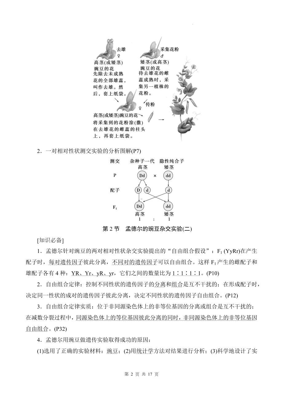 人教版（2019）高中生物必修2 遗传与进化 知识点考点复习提纲.docx_第2页