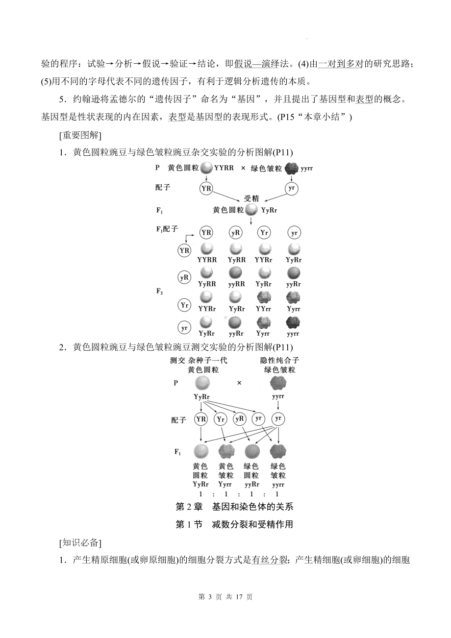 人教版（2019）高中生物必修2 遗传与进化 知识点考点复习提纲.docx_第3页