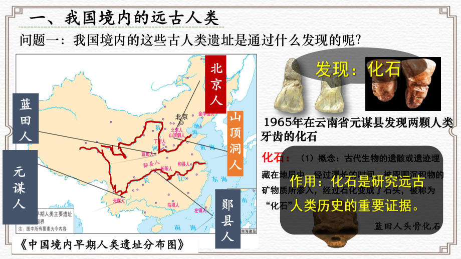 第1课 远古时期的人类活动 ppt课件 (共19张PPT) -（2024新部编）统编版七年级上册《历史》.pptx_第3页