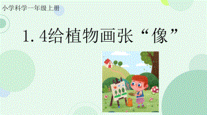 4.给植物画张“像” ppt课件 -2024新教科版一年级上册《科学》.pptx