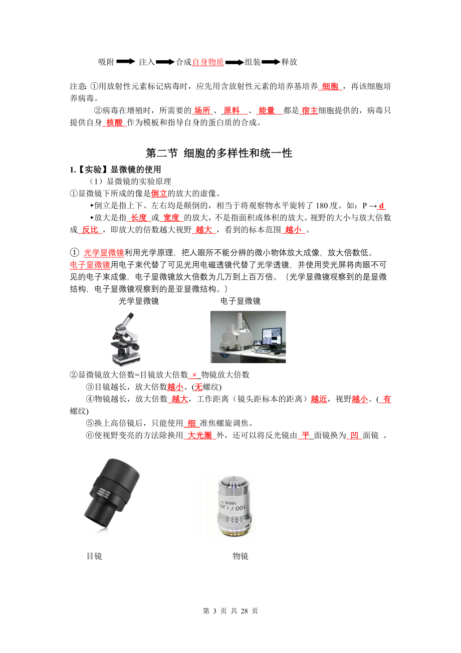 人教版（2019）高中生物必修1《分子与细胞》知识点考点复习提纲.docx_第3页