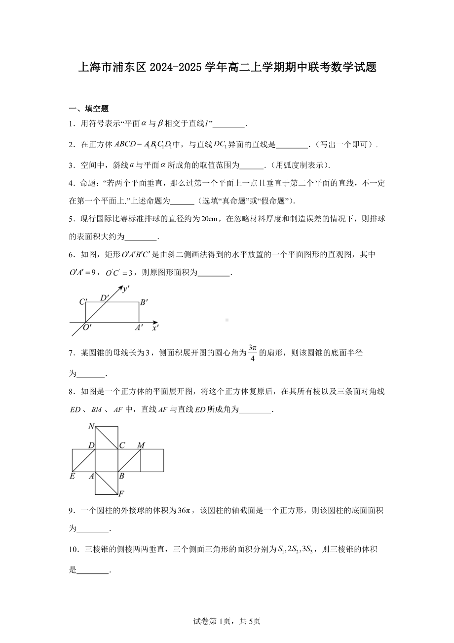 上海市浦东区2024-2025学年高二上学期期中联考数学试题.pdf_第1页