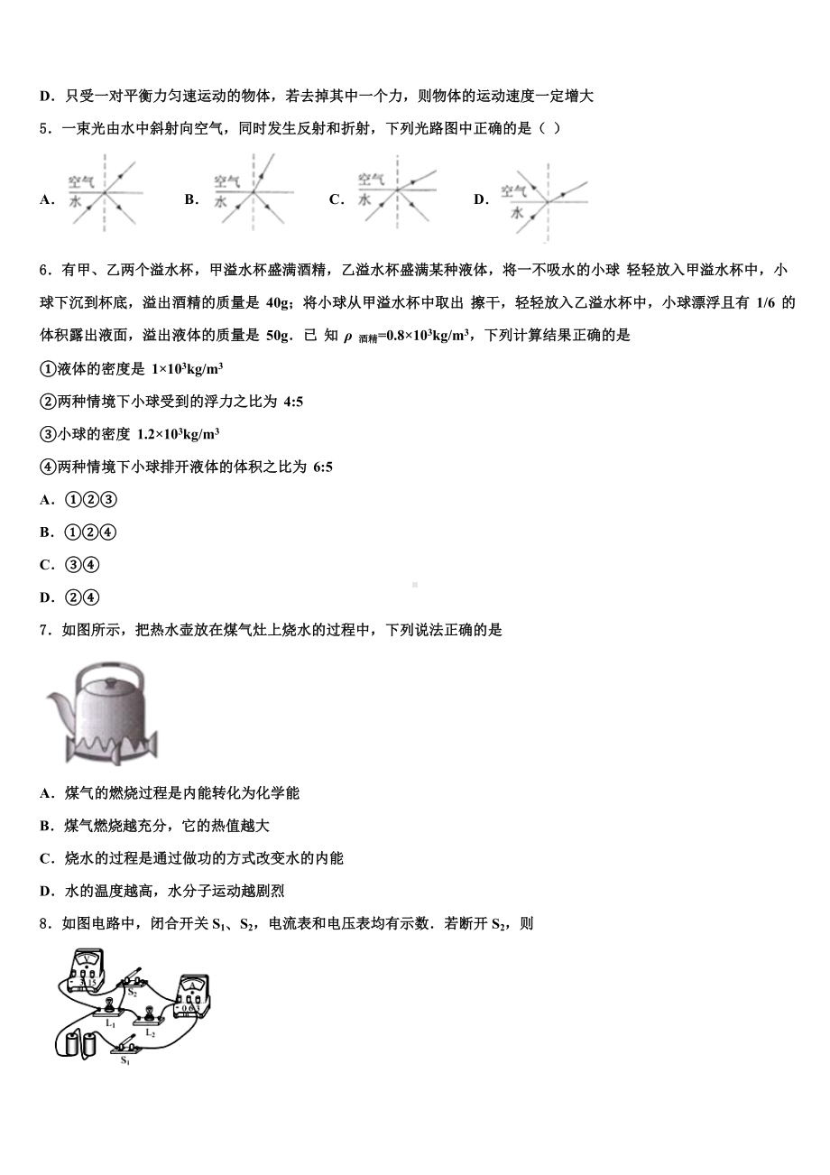 广东省揭阳市空港经济区炮台镇达标名校2023届中考试题猜想物理试卷含解析.doc_第2页