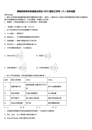 湖南省株洲市攸县重点名校2025届初三月考(六)化学试题含解析.doc