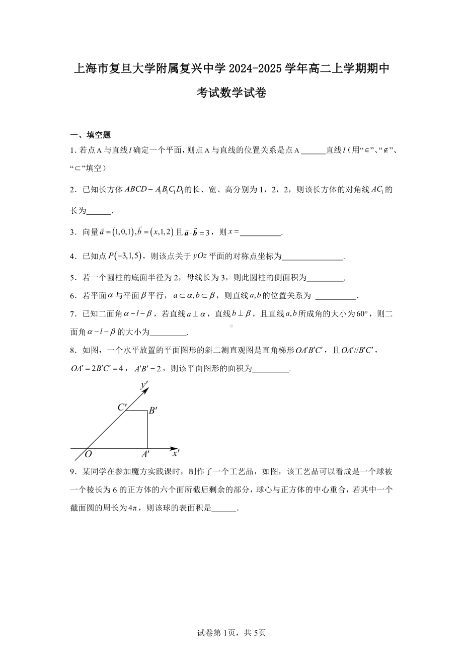 上海市复旦大学附属复兴中学2024-2025学年高二上学期期中考试数学试卷.pdf_第1页