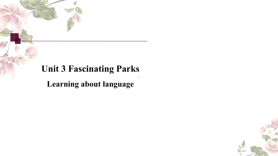 Unit3 Fascinating Parks Learning About Language（ppt课件）-2024新人教版（2019）《高中英语》选择性必修第一册.pptx_第2页