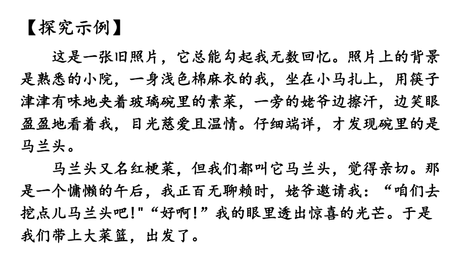 初中语文新人教部编版七年级上册第二单元《阅读综合实践》考点精讲课件（2024秋）.pptx_第3页