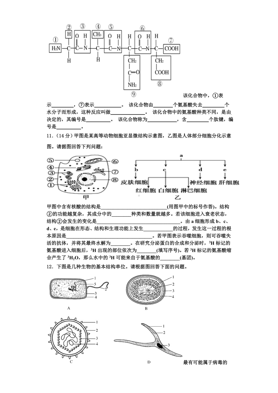 2023年河南省安阳市第三十五中学-生物高一第一学期期末达标检测试题含解析.doc_第3页