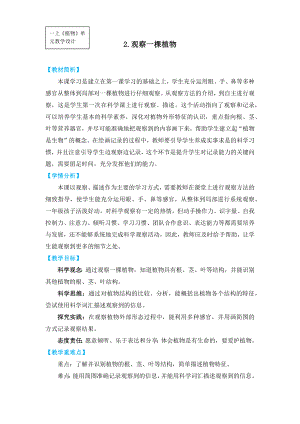 《观察植物》教案-2024新教科版一年级上册《科学》.docx