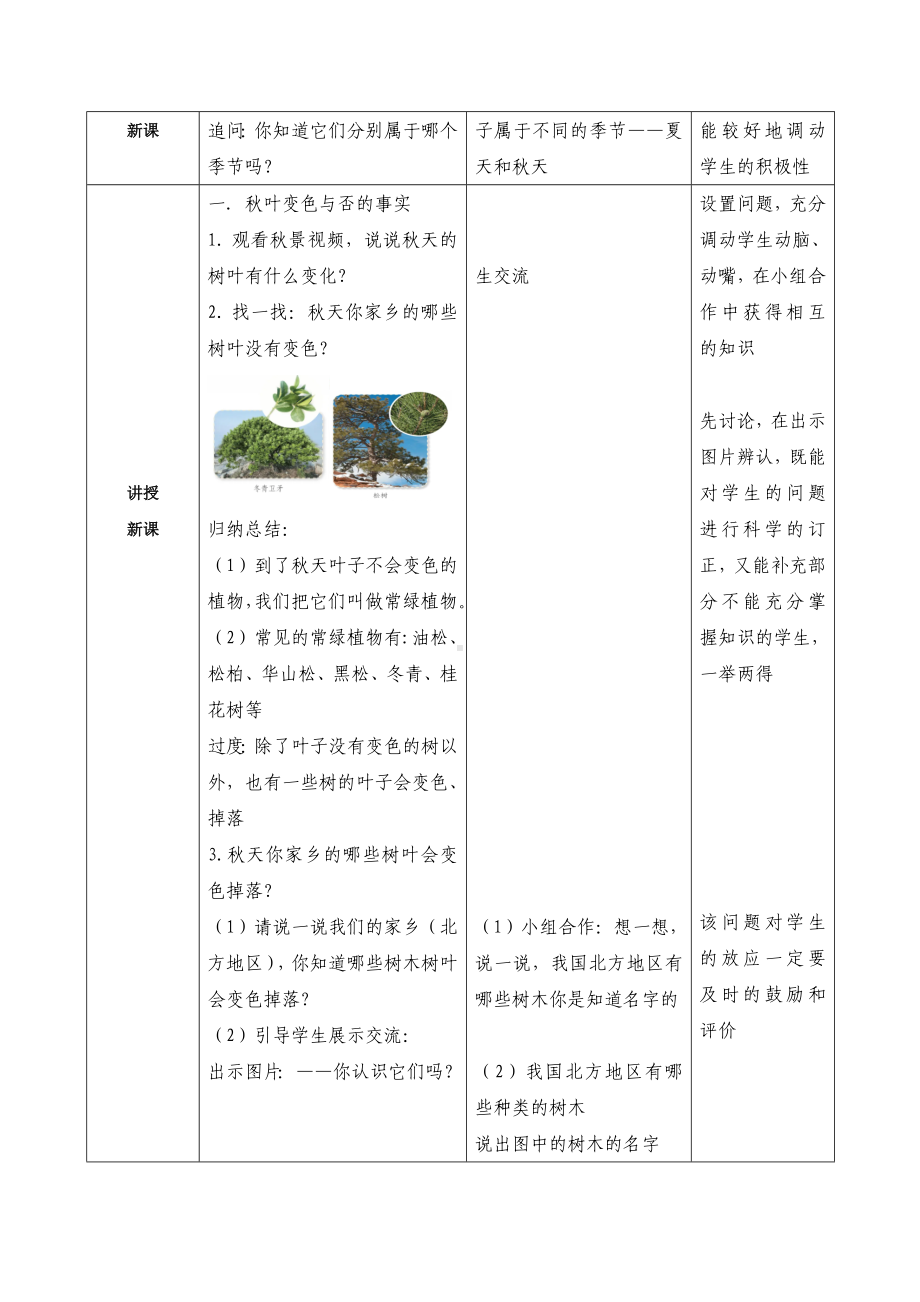 9 探究秋叶的秘密（教案）-2024新苏教版一年级上册《科学》.docx_第2页