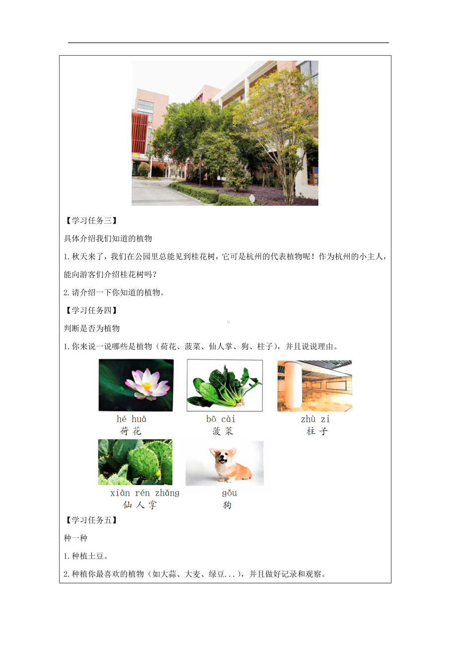 1.1 我们知道的植物学习任务单-2024新教科版一年级上册《科学》.docx_第2页