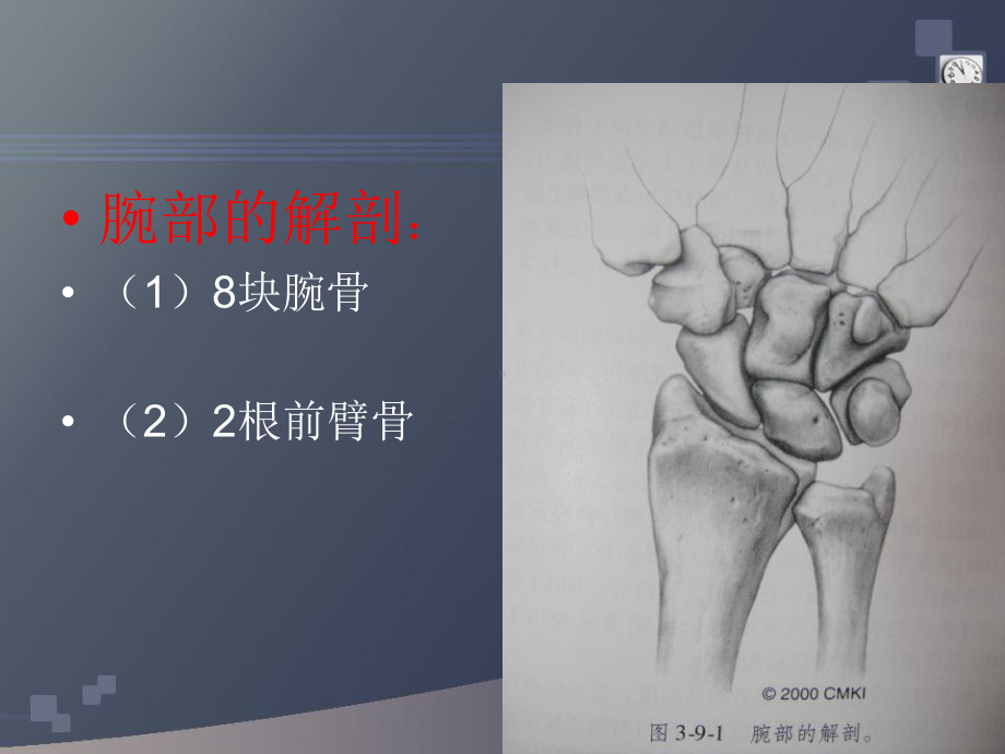 桡骨远端骨折（课件）.ppt_第3页