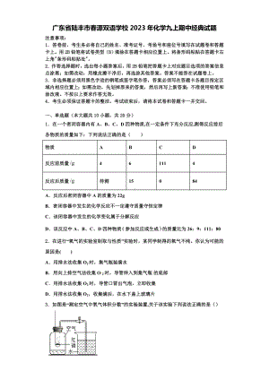 广东省陆丰市春源双语学校2023年化学九上期中经典试题含解析.doc