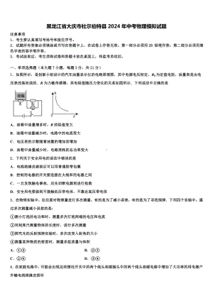 黑龙江省大庆市杜尔伯特县2024年中考物理模拟试题含解析.doc