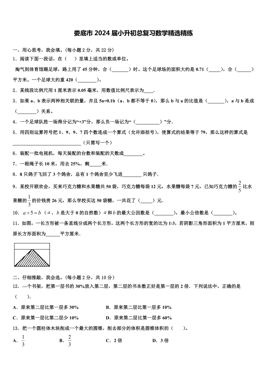 娄底市2024届小升初总复习数学精练含解析.doc_第1页