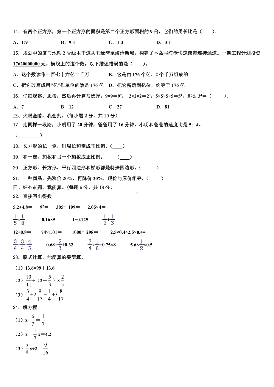 娄底市2024届小升初总复习数学精练含解析.doc_第2页