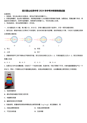 四川营山化育中学2024年中考冲刺卷物理试题含解析.doc