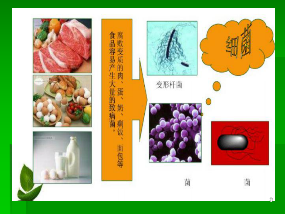 小学生食物中毒与预防.ppt_第3页