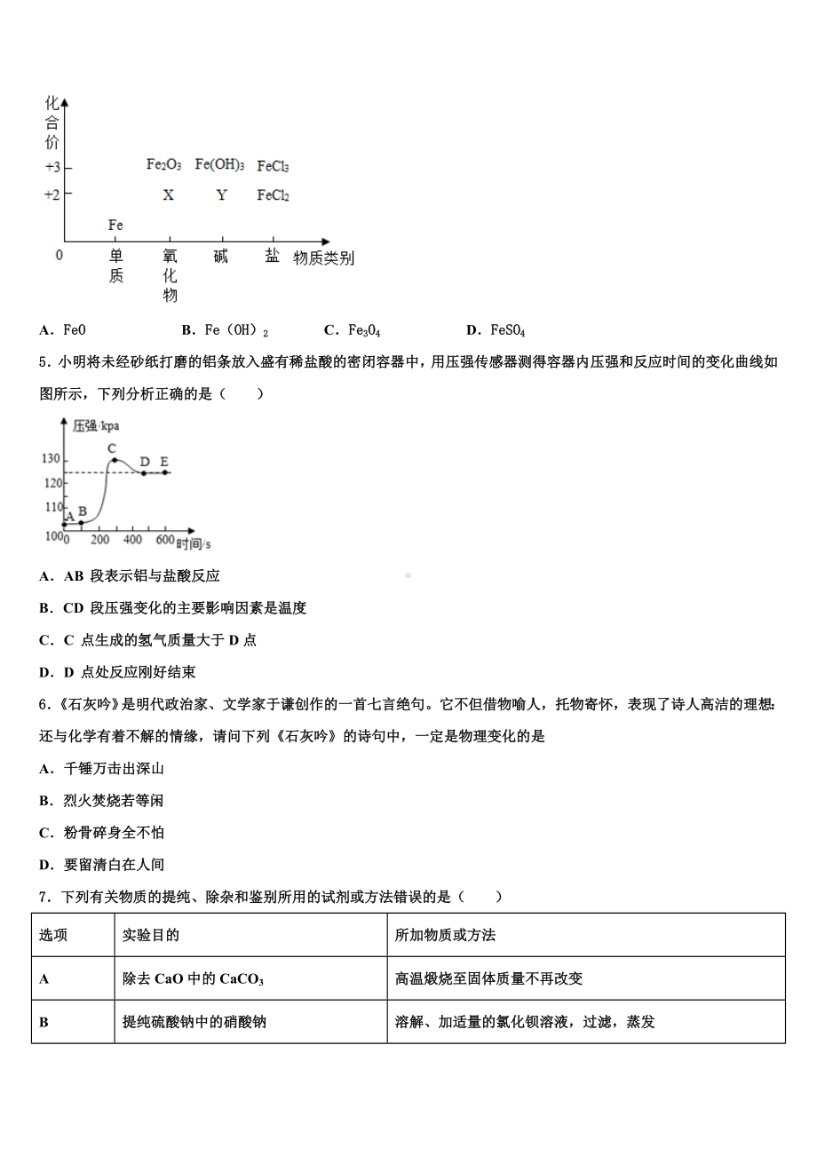 甘肃省武威市第十七中学2024年中考五模化学试题含解析.doc_第2页